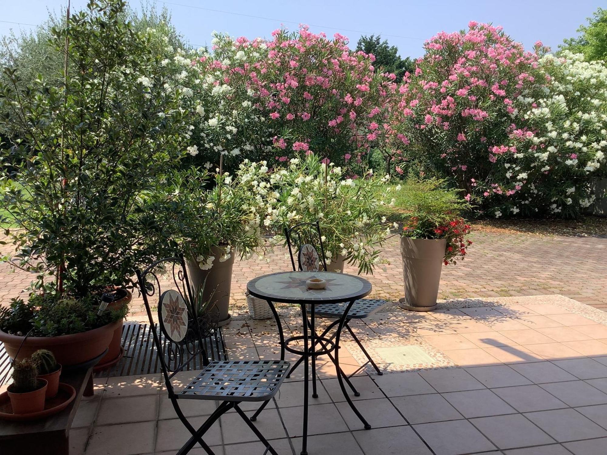 Edyshome Peschiera del Garda Exteriör bild