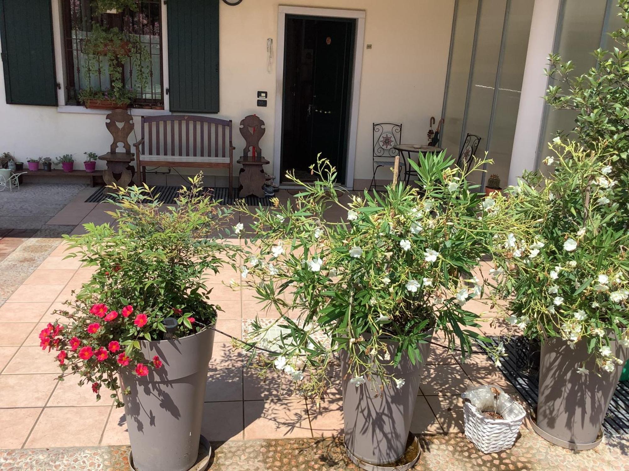 Edyshome Peschiera del Garda Exteriör bild